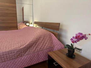 Apartments Comfort Petrovac